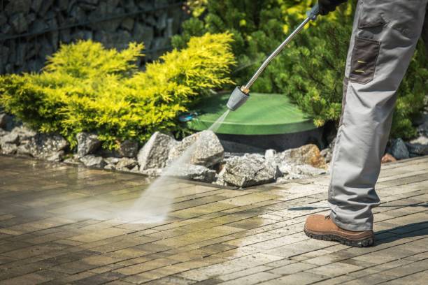 Best Dumpster Area Cleaning  in Shaw, MS