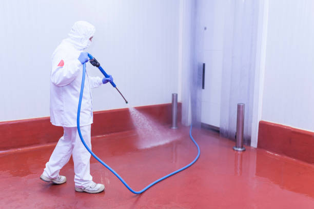 Best Rust Removal  in Shaw, MS